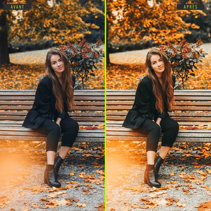 Automne - Presets Lightroom PC/Mac & Mobiles - vazy Creator (5)