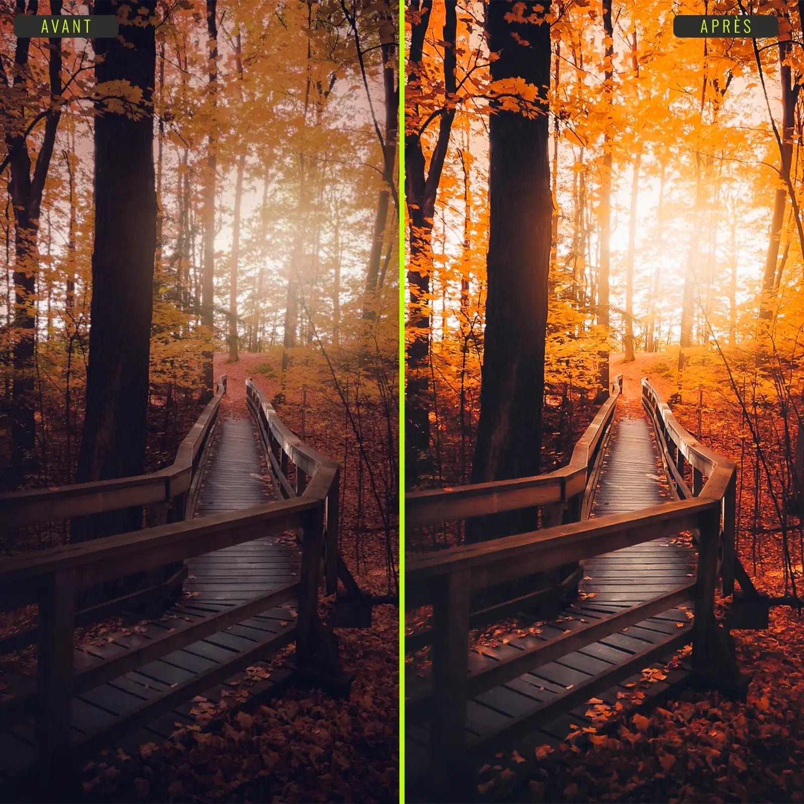 Automne - Presets Lightroom PC/Mac & Mobiles - vazy Creator (7)