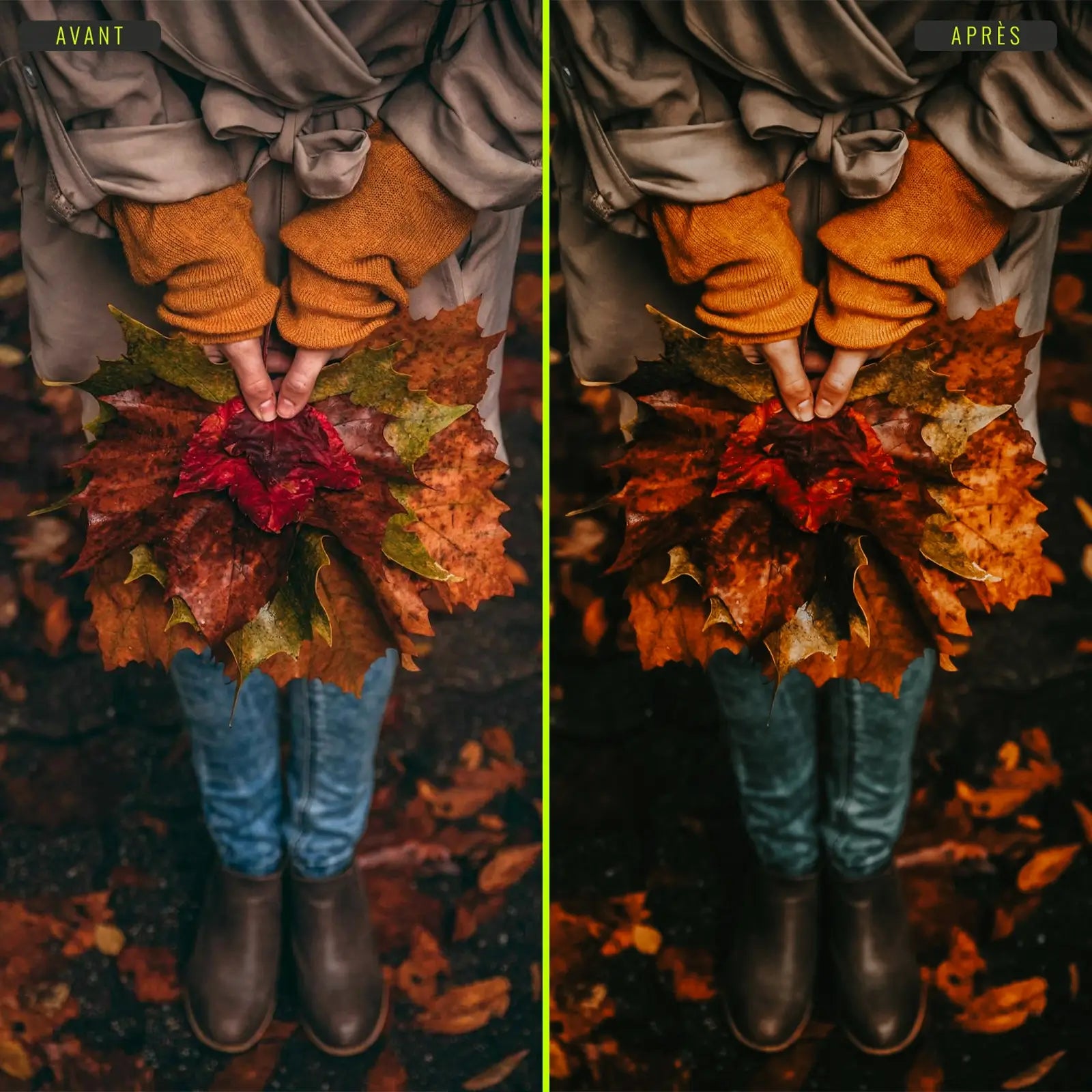 Automne - Presets Lightroom PC/Mac & Mobiles - vazy Creator (8)