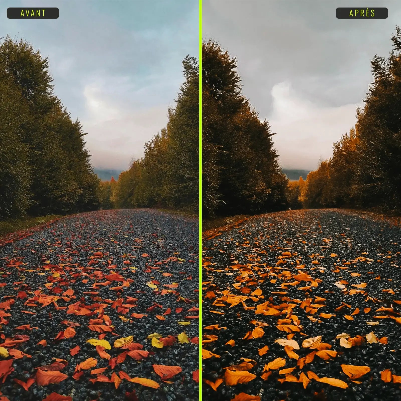 Automne - Presets Lightroom PC/Mac & Mobiles - vazy Creator (9)