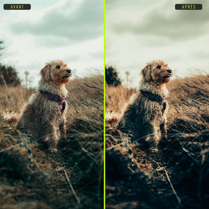 Cinématiques - Presets Lightroom PC/Mac & Mobiles - vazy Creator (7)